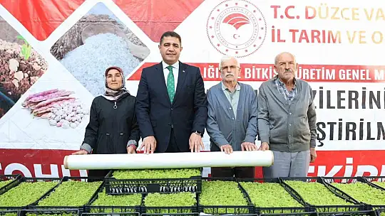 Düzce'de yüzde 75 destekli 232 bin 500 adet marul fidesi dağıtıldı