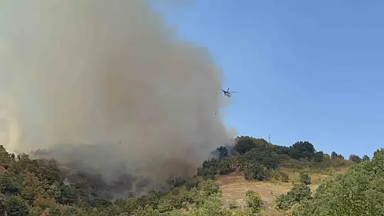 Düzce'deki orman yangınına helikopter ve 20 araçla müdahale sürüyor