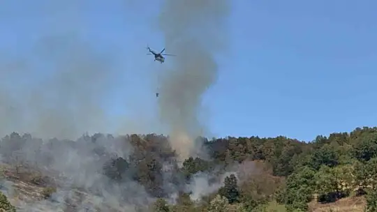 Düzce'deki orman yangınına helikopter ve 20 araçla müdahale sürüyor