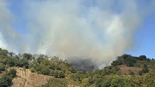 Düzce'deki orman yangınına helikopter ve 20 araçla müdahale sürüyor