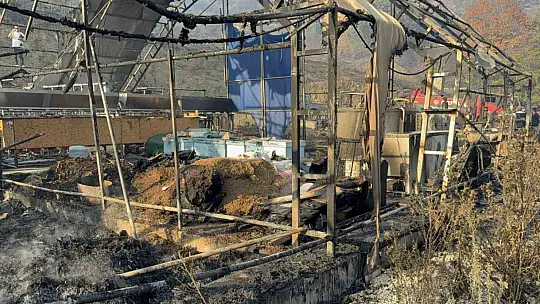 Düzce'deki orman yangınında keçi üretim çiftliği küle döndü