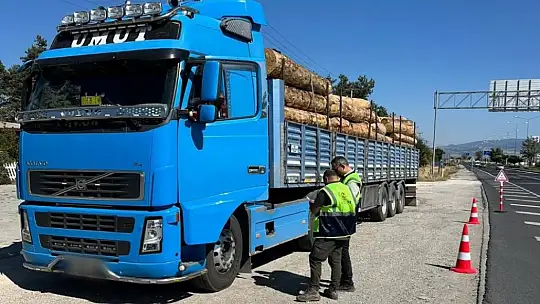 Düzce'den 9 bin 967,5 ton orman ürünü ihraç edildi