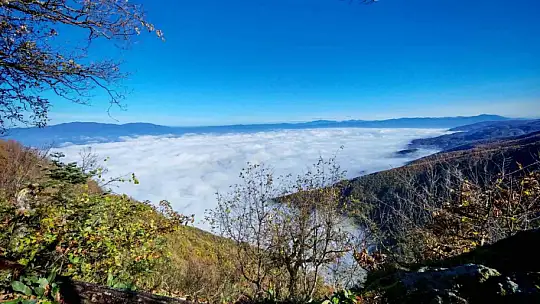 Düzce güne sisle uyandı