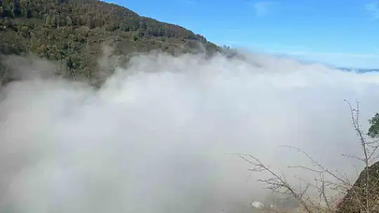 Düzce güne sisle uyandı