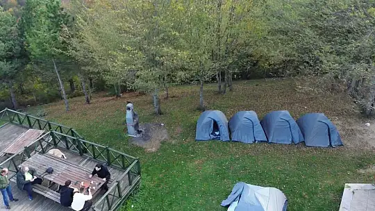 Düzce ormanlarında