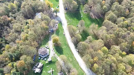 Düzce ormanlarında