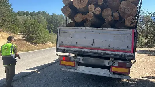 Düzce ve Bolu'da 32 noktada kontrol yapıldı