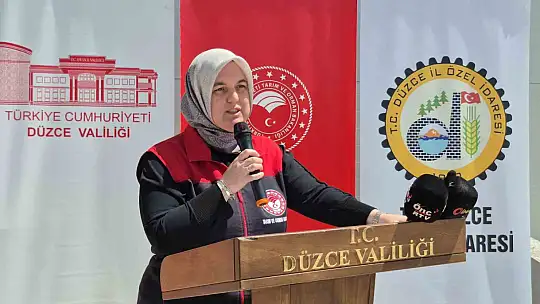 Düzceli çiftçilere çeltik tohumu dağıtıldı