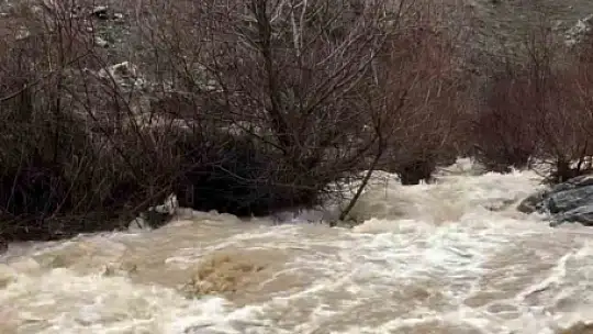 Elazığ'da yağış sonrası dereler coştu
