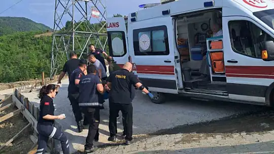 Elektrik direğine çarpan hafif ticari araç devrildi: 2 yaralı