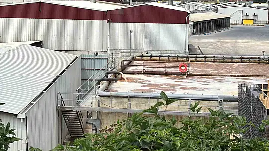 Tavuk firmasının pisliği, hamile kadını hastanelik etti