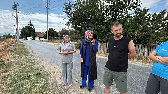 Tavuk firmasının pisliği, hamile kadını hastanelik etti