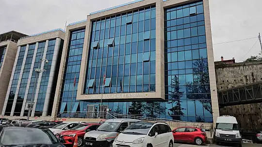 Eşini ve kayınvalidesini öldüren sanığa iki kez ağırlaştırılmış müebbet hapis cezası