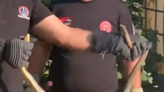 Evin bahçesinde korkutan yılanı itfaiye yakaladı