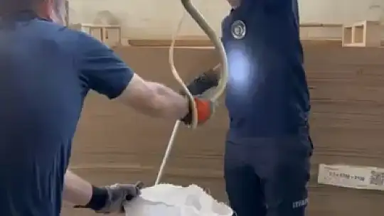 Fabrikada yılan paniği