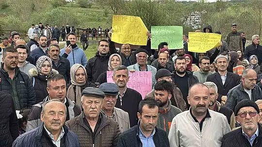 Fabrikaların zehrini kustuğu Gerede Çayı ölüyor: Köylüler ayaklandı