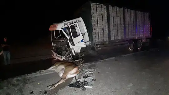 Feci kazada araçlar hurdaya döndü: 1 ölü, 1 yaralı