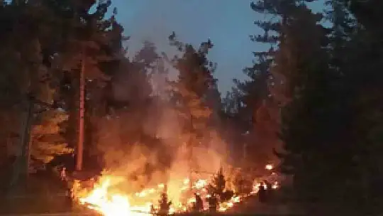 Feke de Orman Yangını