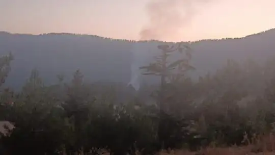 Feke de Orman Yangını