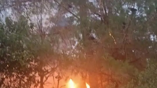 Feke de Orman Yangını