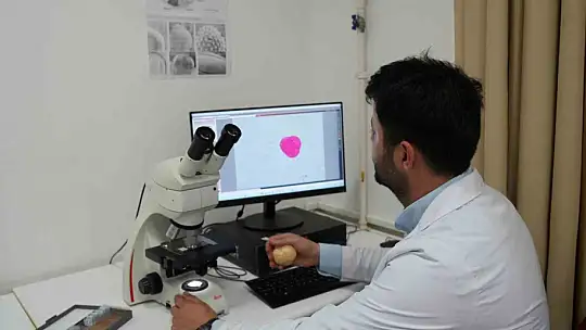 Filmlere konu olan deli balda üretim sezonu sürüyor