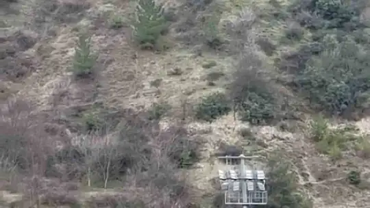 Filyos Çayı'nı yüzerek geçen yaban domuzları kamerada