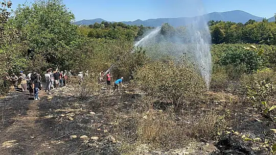 Fındık bahçesinde temizlerken bir dönüm alan zarar gördü
