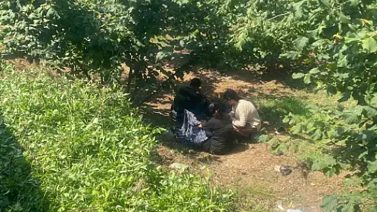 Fındık işçilerini taşıyan traktör devrildi: 8 yaralı