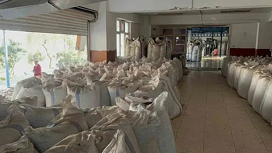 Fındık tüccarı fiyatların yükseleceği tarihe dair beklentiyi anlattı