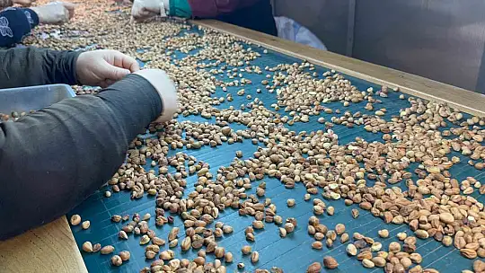 Fındık tüccarı fiyatların yükseleceği tarihe dair beklentiyi anlattı