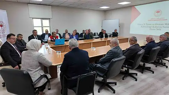 Fındık üretimini tehdit eden kokarcaya karşı önlem