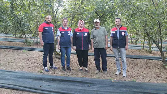 Fındıkta verim ve kalite artıyor