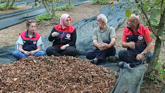 Fındıkta verim ve kalite artıyor
