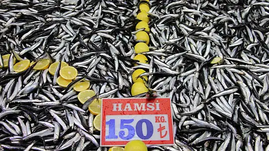 Fiyatı düşen hamsiye talep arttı: