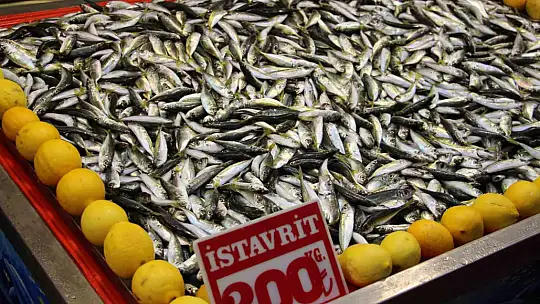 Fiyatı düşen hamsiye talep arttı: