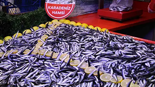 Fiyatı düşen hamsiye talep arttı: