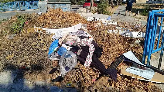 Foça Belediye Başkanı Fıçı: Çevre atıklarını bu yıl toplamadım, toplamayacağım