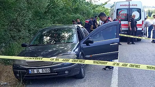 Genç orman işçisi aracında ölü bulundu