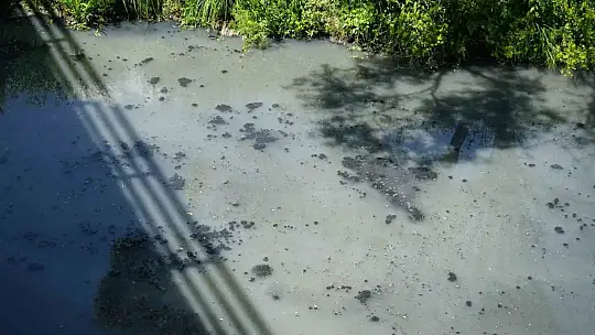 Gerede'de fabrikaların zehrini kustuğu derenin yeniden davası görülecek