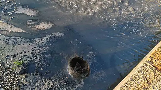 Gerede'de fabrikaların zehrini kustuğu derenin yeniden davası görülecek