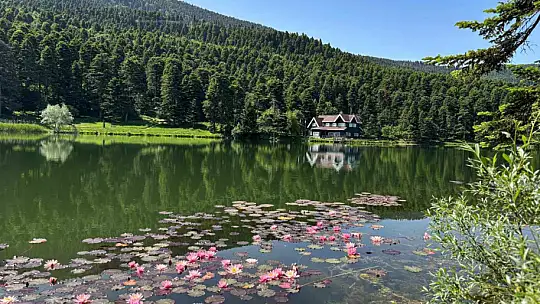 Gölcük Tabiat Parkı tatilcilerin akınına uğradı:
