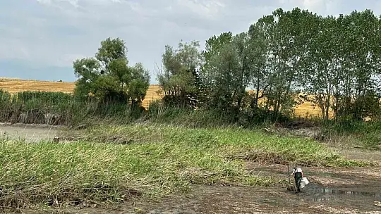 Gölette can çekişen onlarca balık kurtarıldı