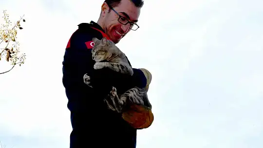 Günlerdir ağaçta mahsur kalan kedi, itfaiyenin çalışmasıyla kurtarıldı