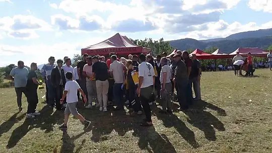 Güreşçinin dirseği kırıldı