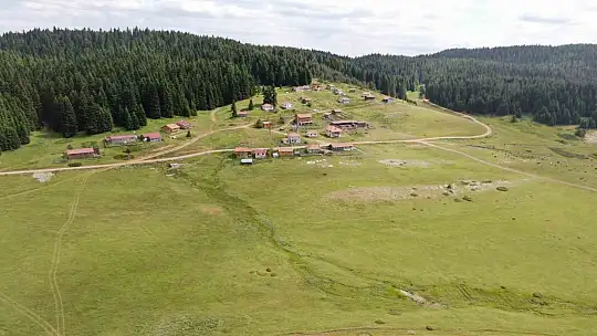 Güzelliğiyle mest eden Kastamonu yaylaları hayvancıların en büyük geçim kaynağı