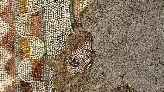 Hadrianopolis'te saray kompleksi ortaya çıktı: 4. yüzyıla ait eşsiz mozaikler bulundu