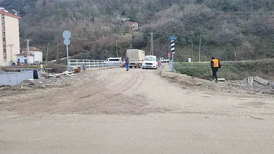 Hafif ticari araç 8 metre yükseklikten çaya uçtu: 3 yaralı