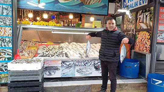 Hamsi tahtını istavrite bıraktı