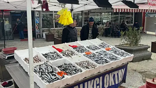 Hamsi yeniden tezgahlarda, 200 liradan alıcı buluyor