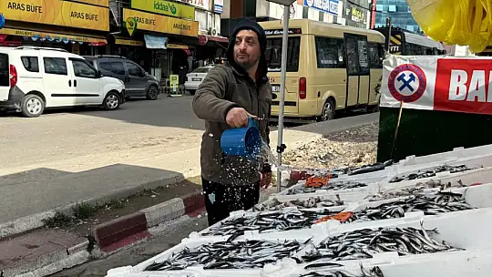 Hamsi yeniden tezgahlarda, 200 liradan alıcı buluyor